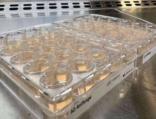 Ready-to-use Agar Dilution panels