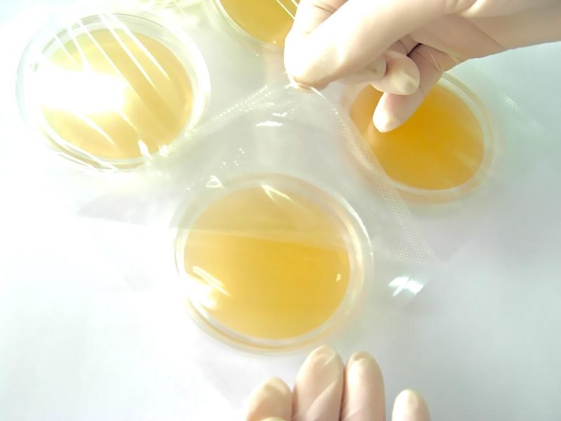 Gamma-irradiated contact plates in individual blister pack - EWC ...