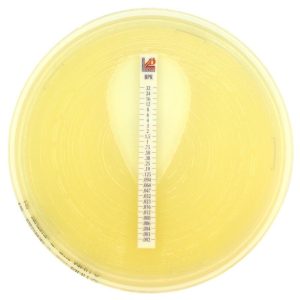 Ceftobiprole MTS™ (MIC Test Strip)