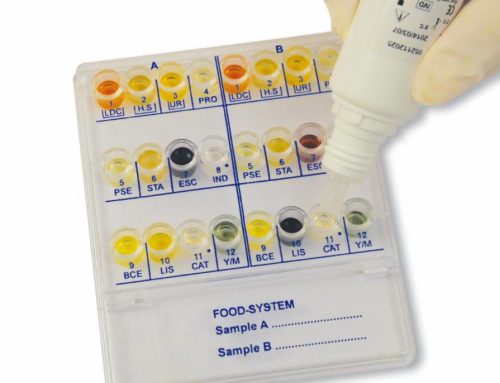 Food System