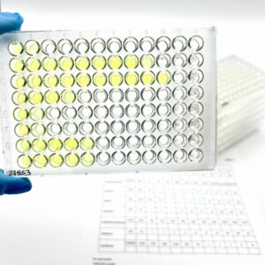 Custom Broth MicroDilution panels