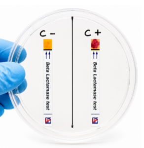 Beta Lactamase test
