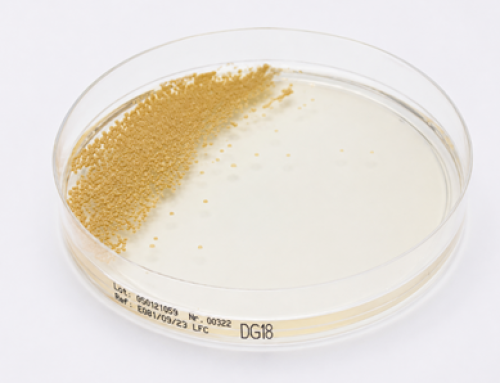 Dichloran Glycerol (DG18) Agar