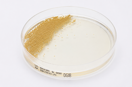 glycerol